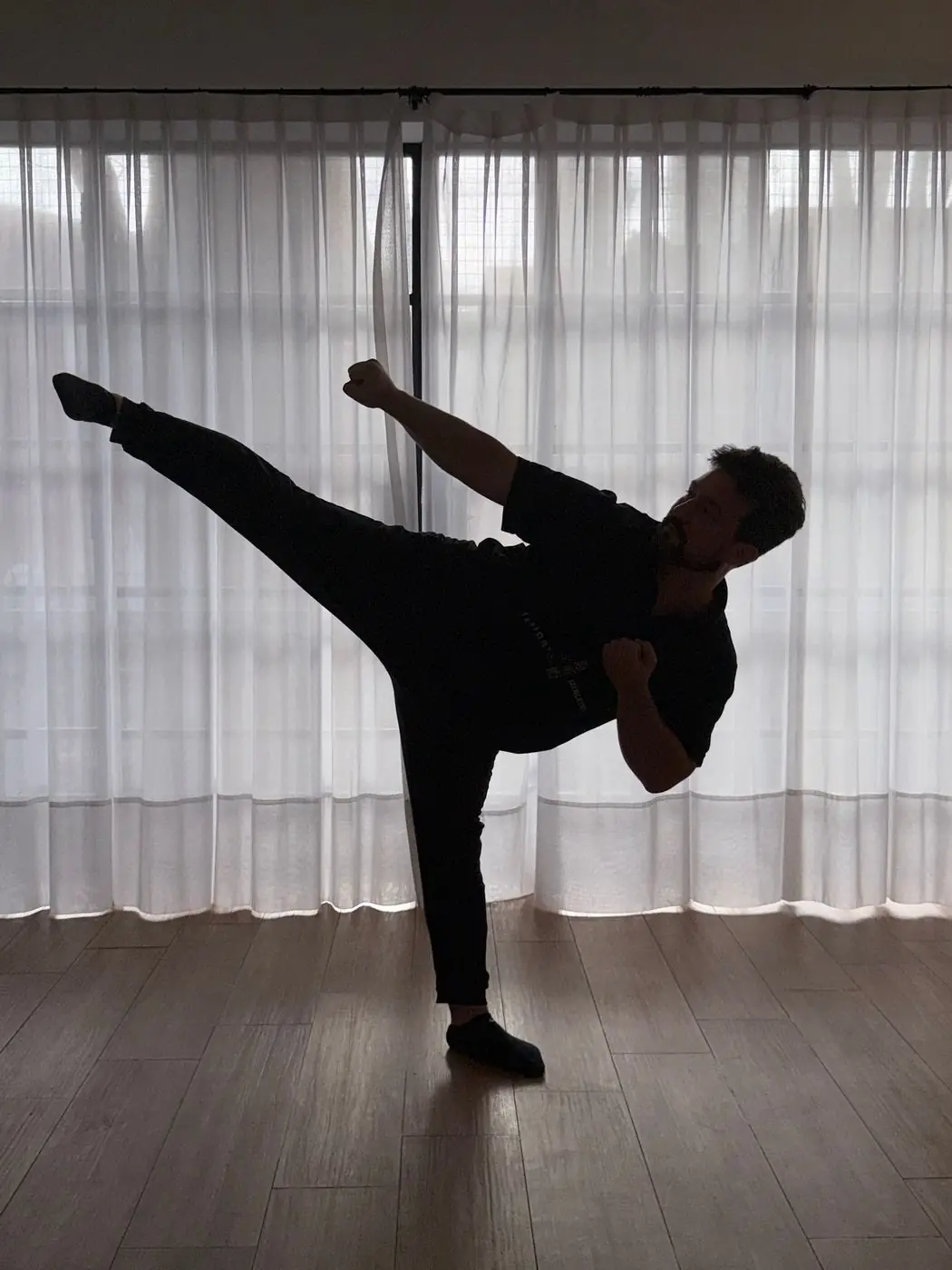 Silhouette of Dr. Daniel Flash performing a high kick in front of a window