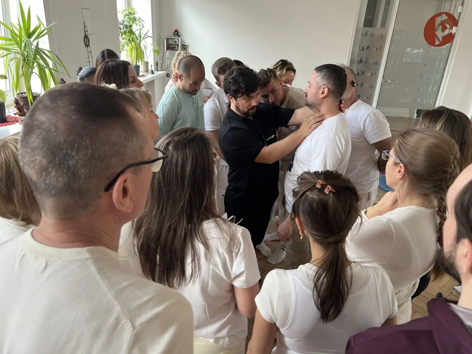 Dr. Daniel Flash guiding participants through partner work at a Sensory Energetics seminar